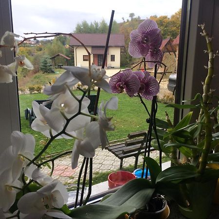 Cabana 7 Brazi Poiana Mărului 外观 照片