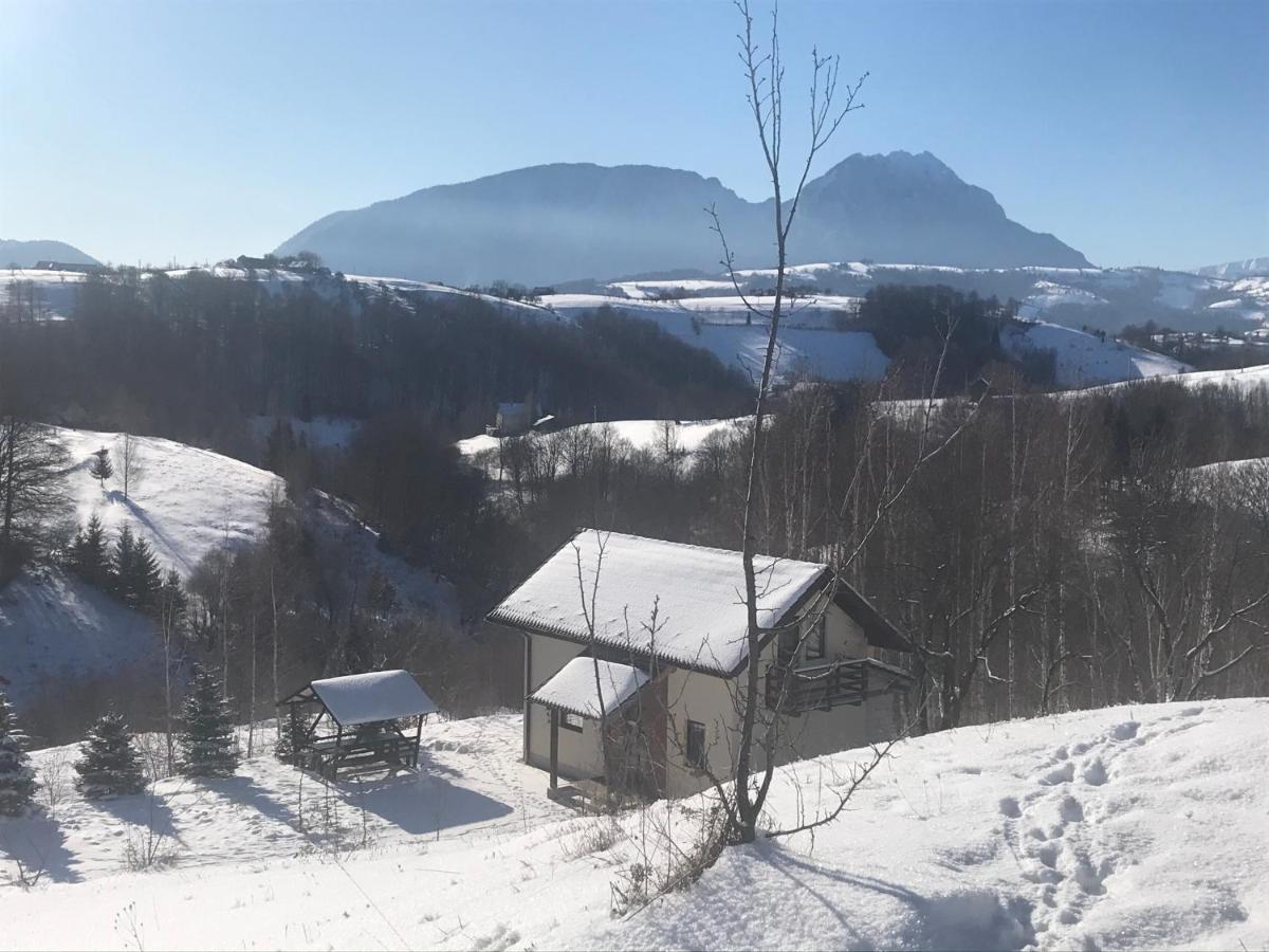 Cabana 7 Brazi Poiana Mărului 外观 照片
