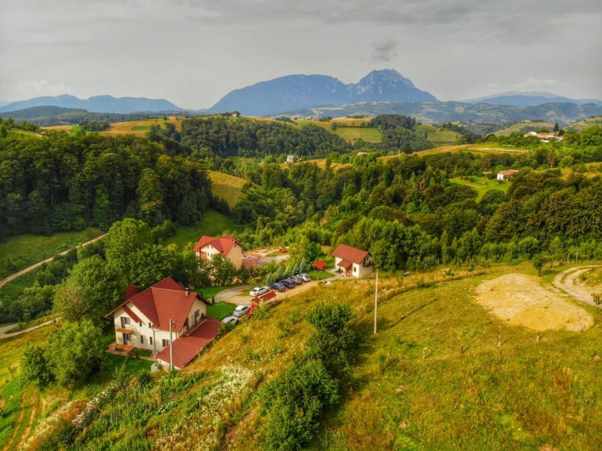 Cabana 7 Brazi Poiana Mărului 外观 照片