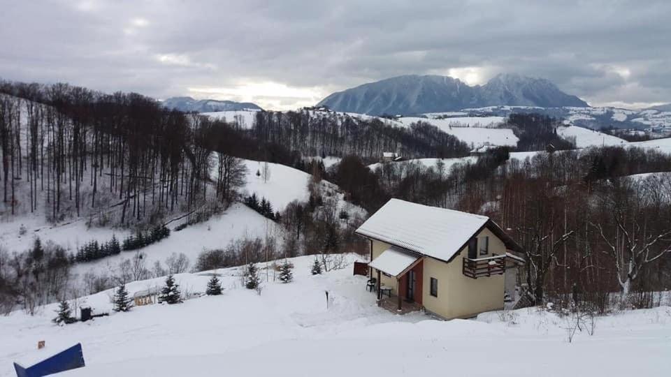 Cabana 7 Brazi Poiana Mărului 外观 照片