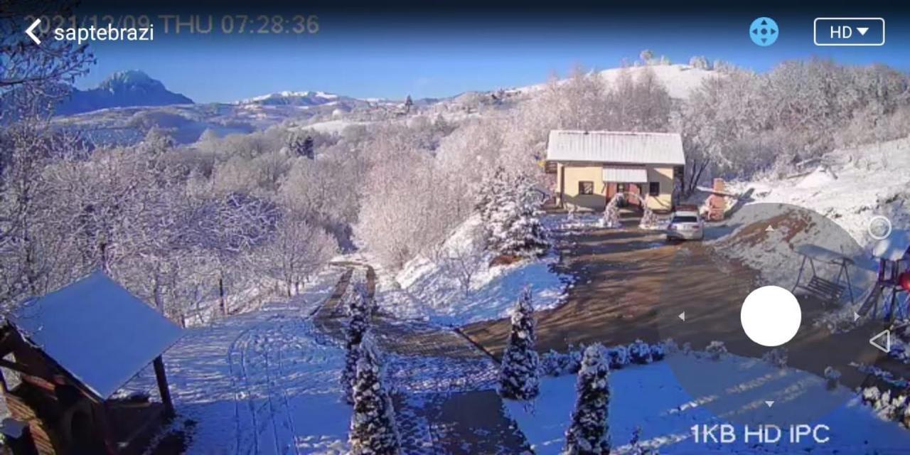 Cabana 7 Brazi Poiana Mărului 外观 照片