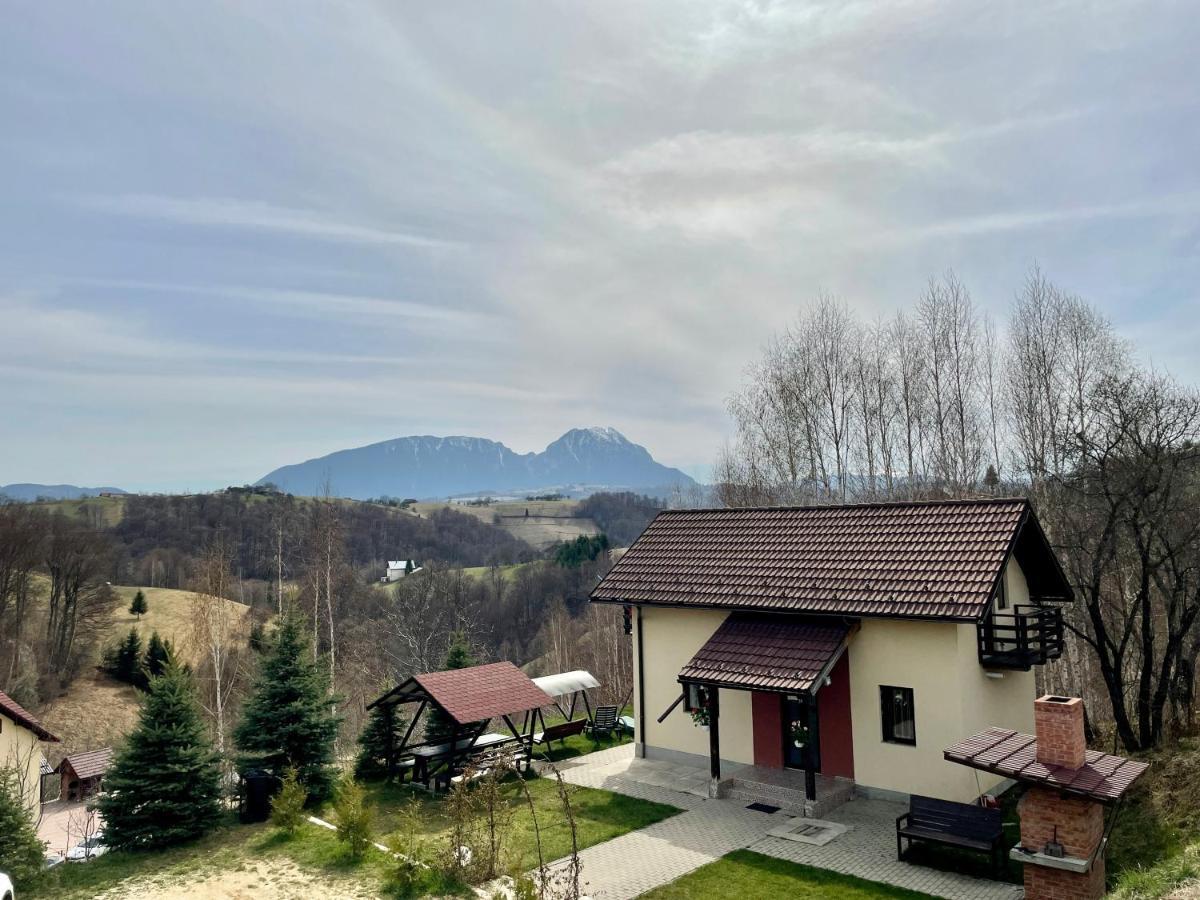Cabana 7 Brazi Poiana Mărului 外观 照片