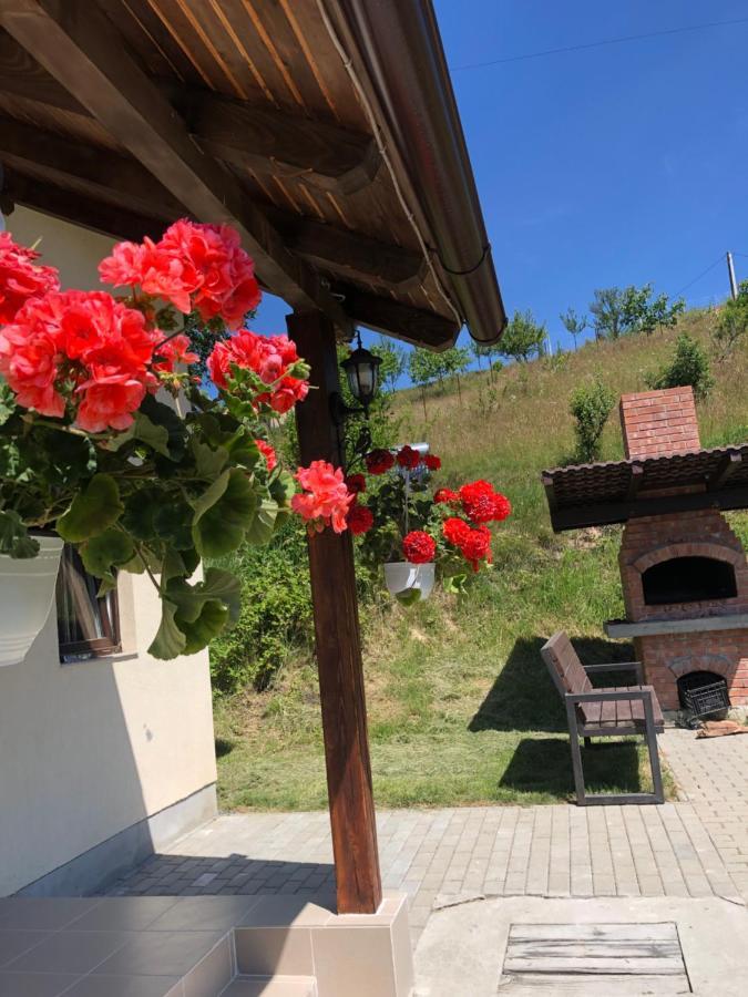 Cabana 7 Brazi Poiana Mărului 外观 照片