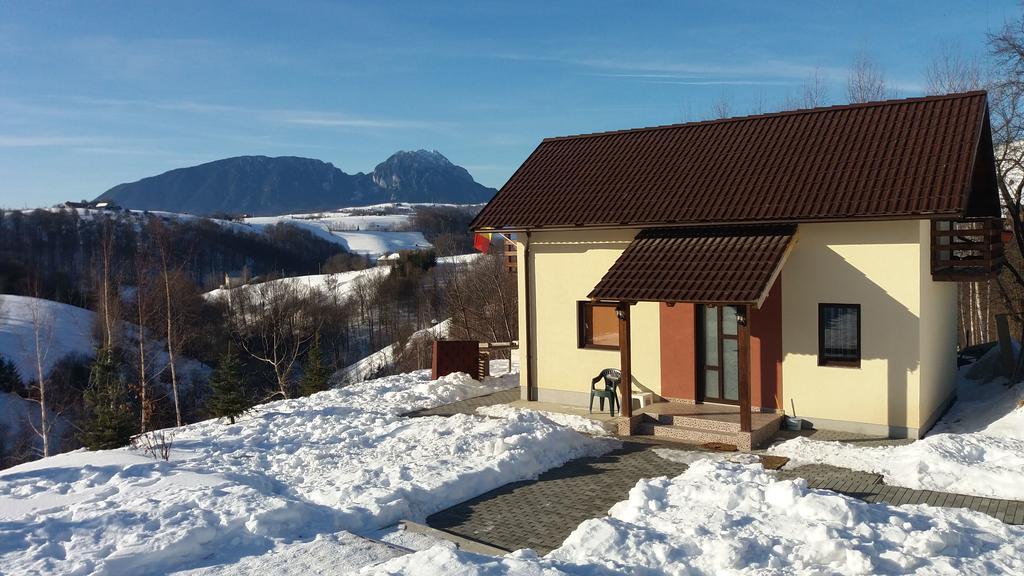 Cabana 7 Brazi Poiana Mărului 外观 照片