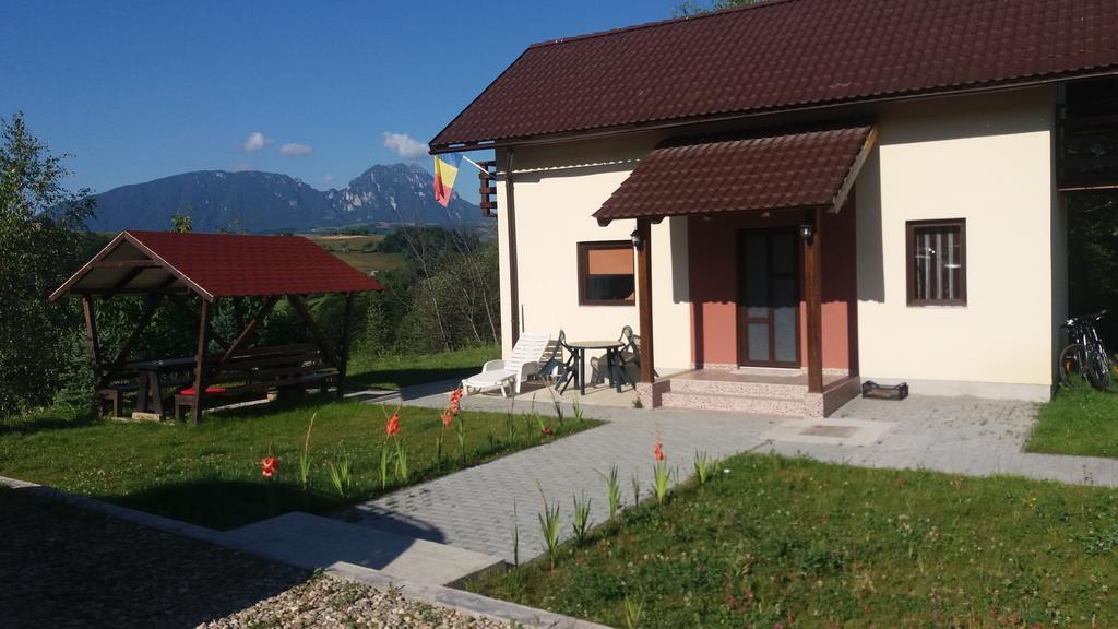 Cabana 7 Brazi Poiana Mărului 外观 照片