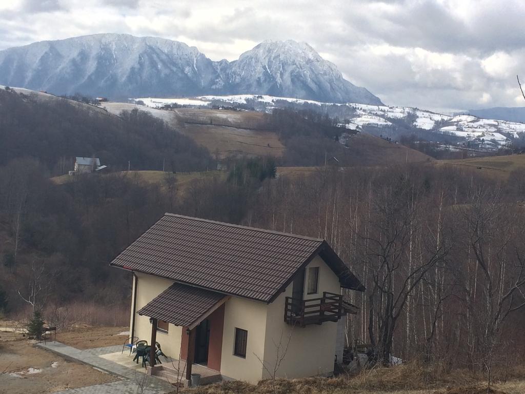 Cabana 7 Brazi Poiana Mărului 外观 照片