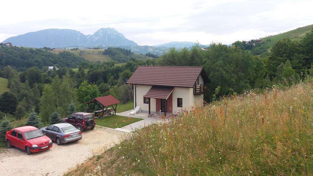 Cabana 7 Brazi Poiana Mărului 外观 照片