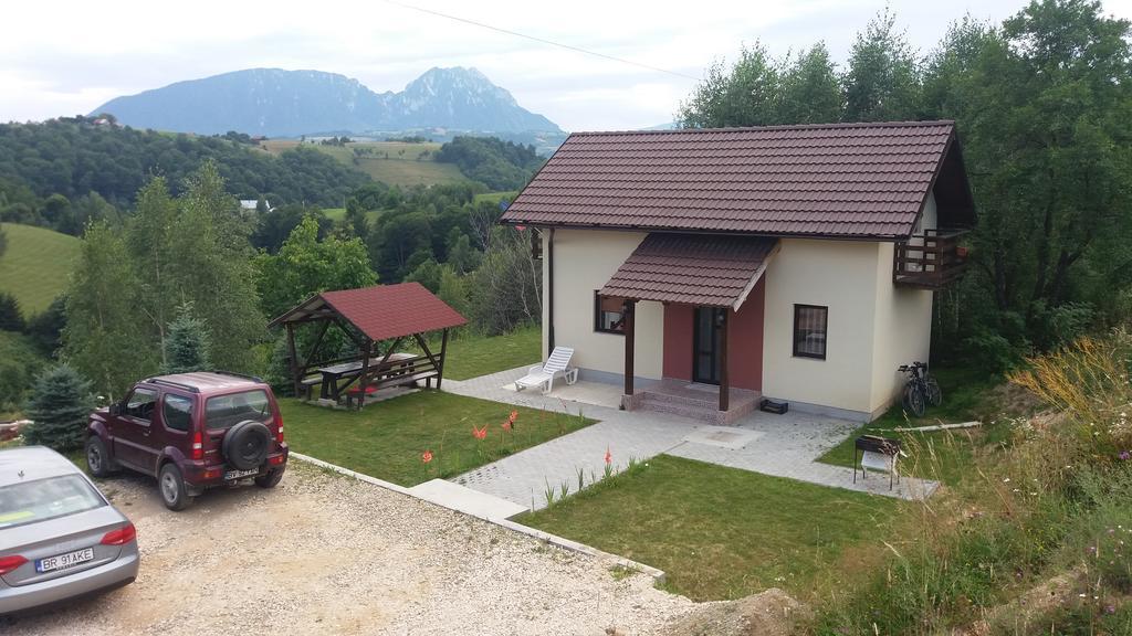 Cabana 7 Brazi Poiana Mărului 外观 照片