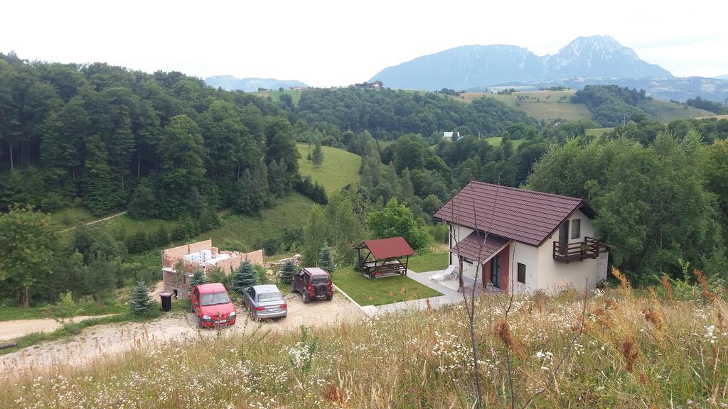 Cabana 7 Brazi Poiana Mărului 外观 照片