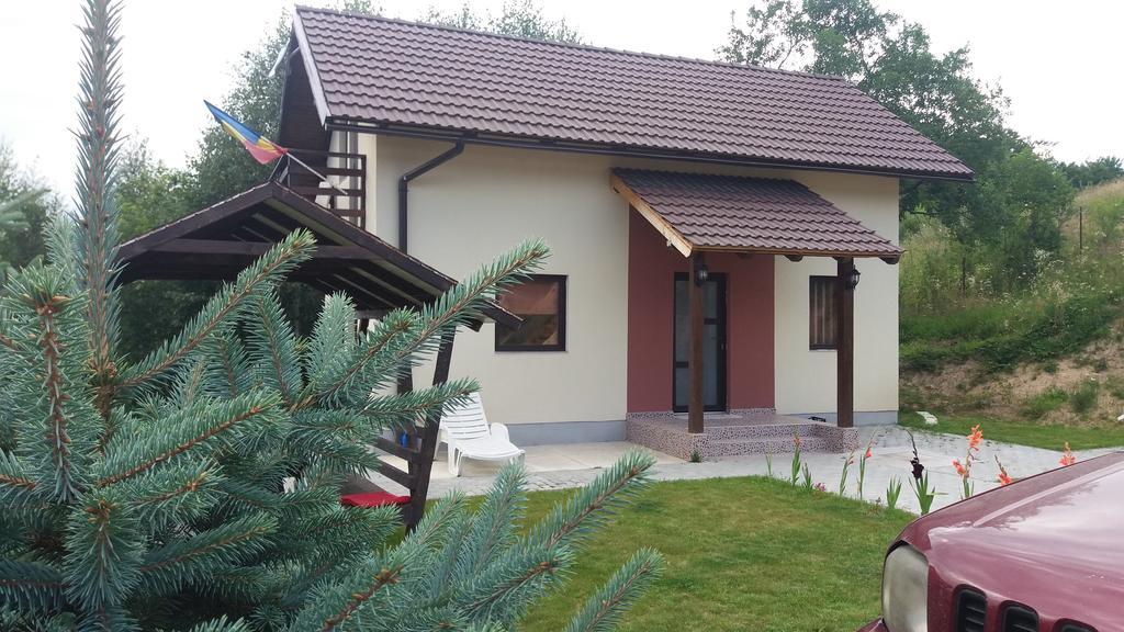Cabana 7 Brazi Poiana Mărului 外观 照片