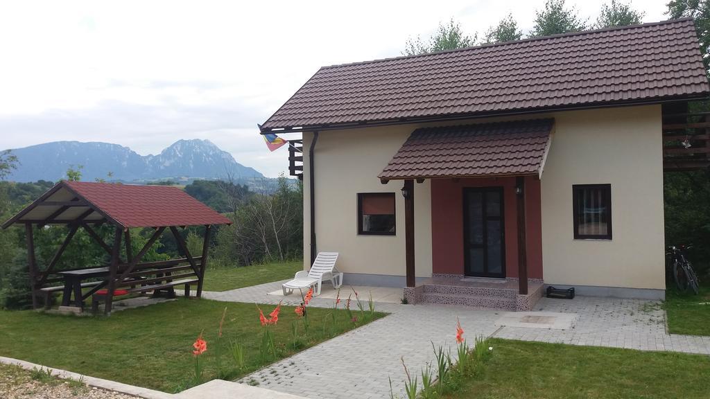 Cabana 7 Brazi Poiana Mărului 外观 照片