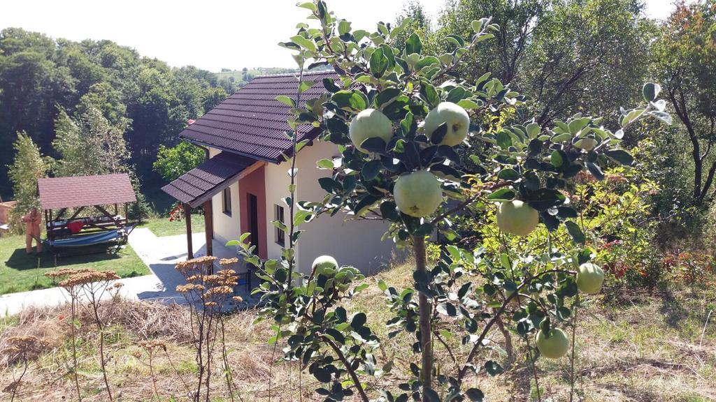 Cabana 7 Brazi Poiana Mărului 外观 照片