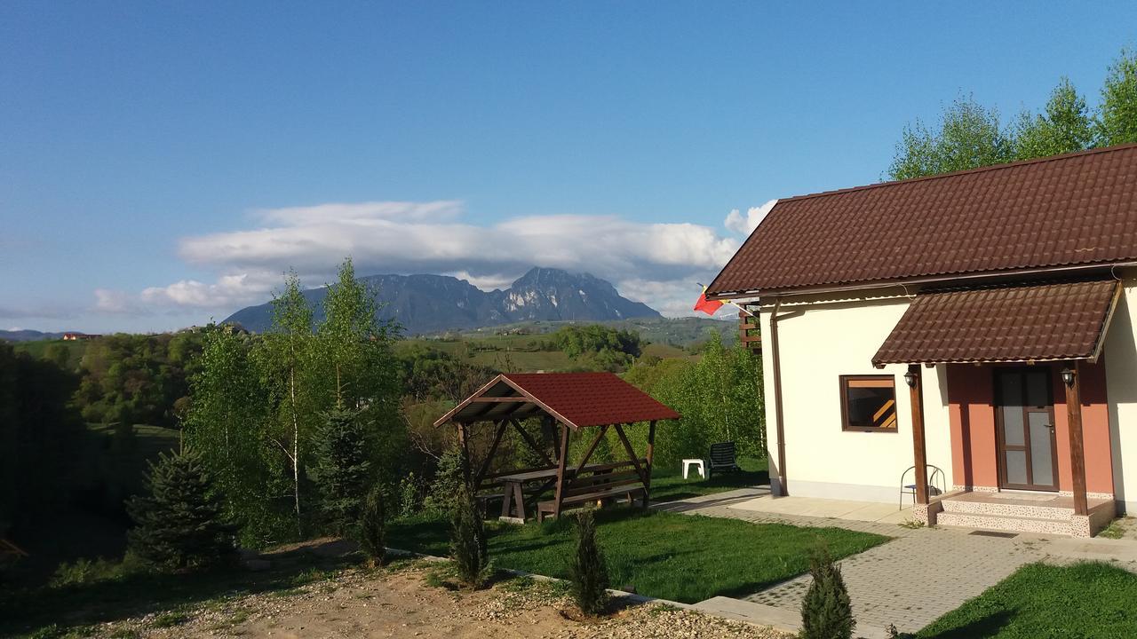 Cabana 7 Brazi Poiana Mărului 外观 照片