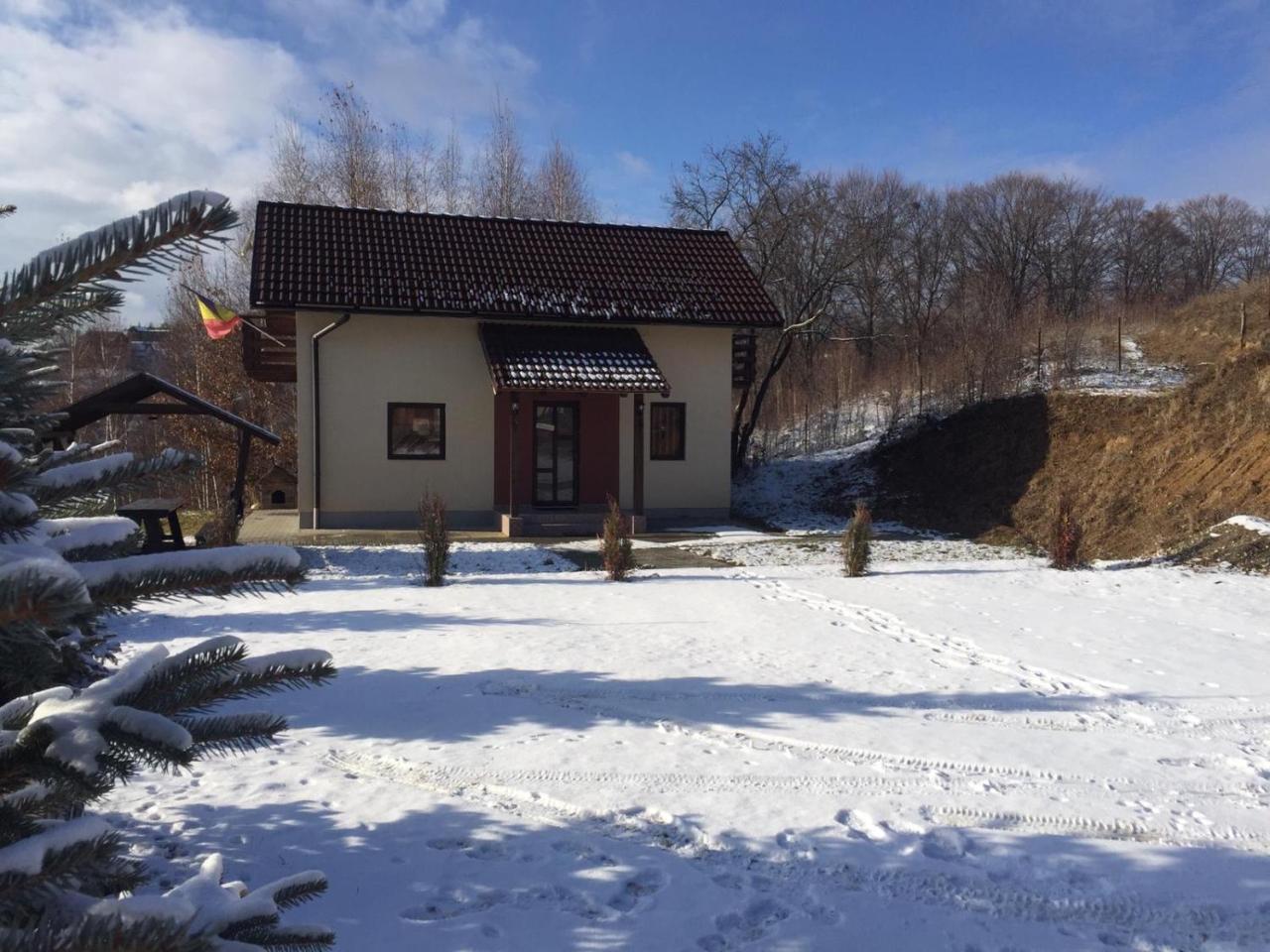 Cabana 7 Brazi Poiana Mărului 外观 照片
