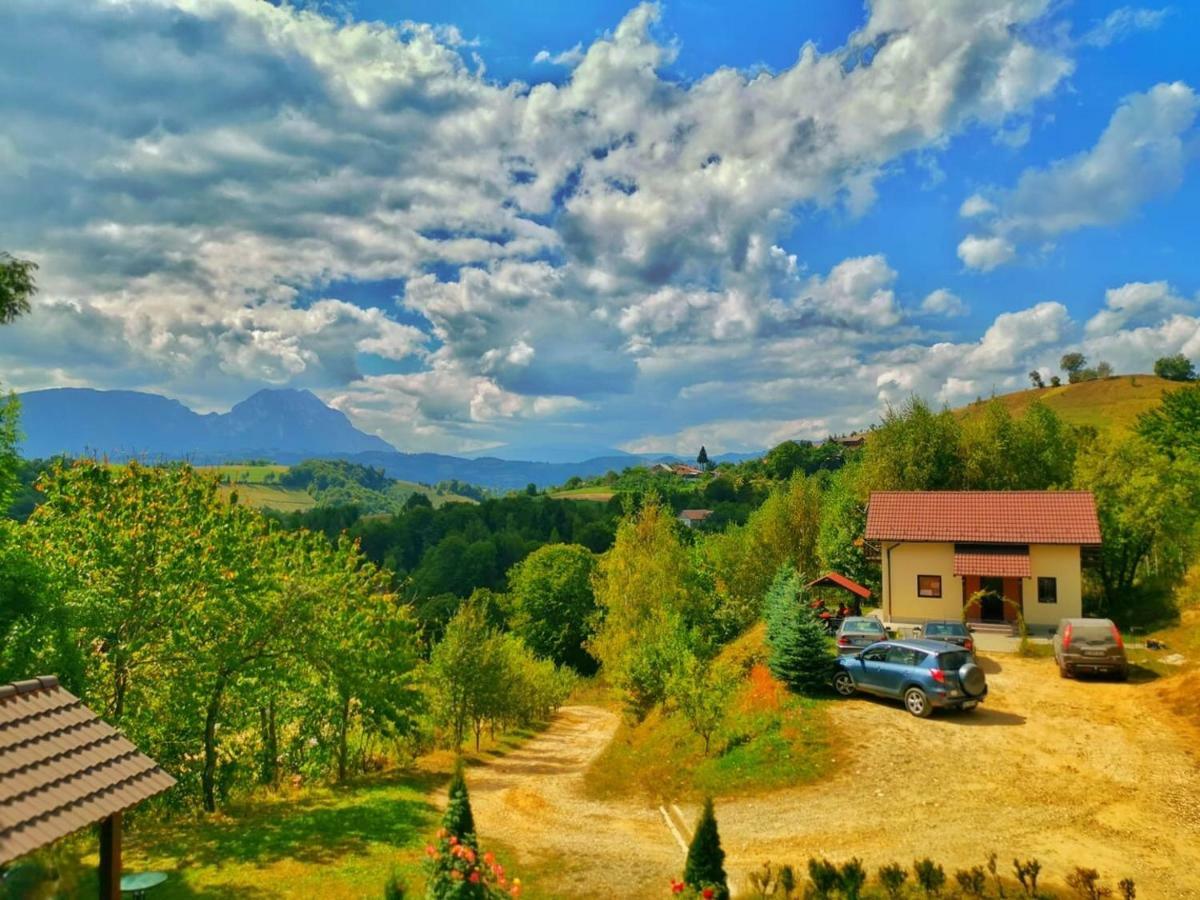 Cabana 7 Brazi Poiana Mărului 外观 照片